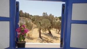 Una ventana con vistas a olivos y una planta en maceta con flores rosadas.