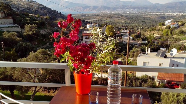 Un balcón con una mesa, sillas, una planta en maceta y una botella de agua.