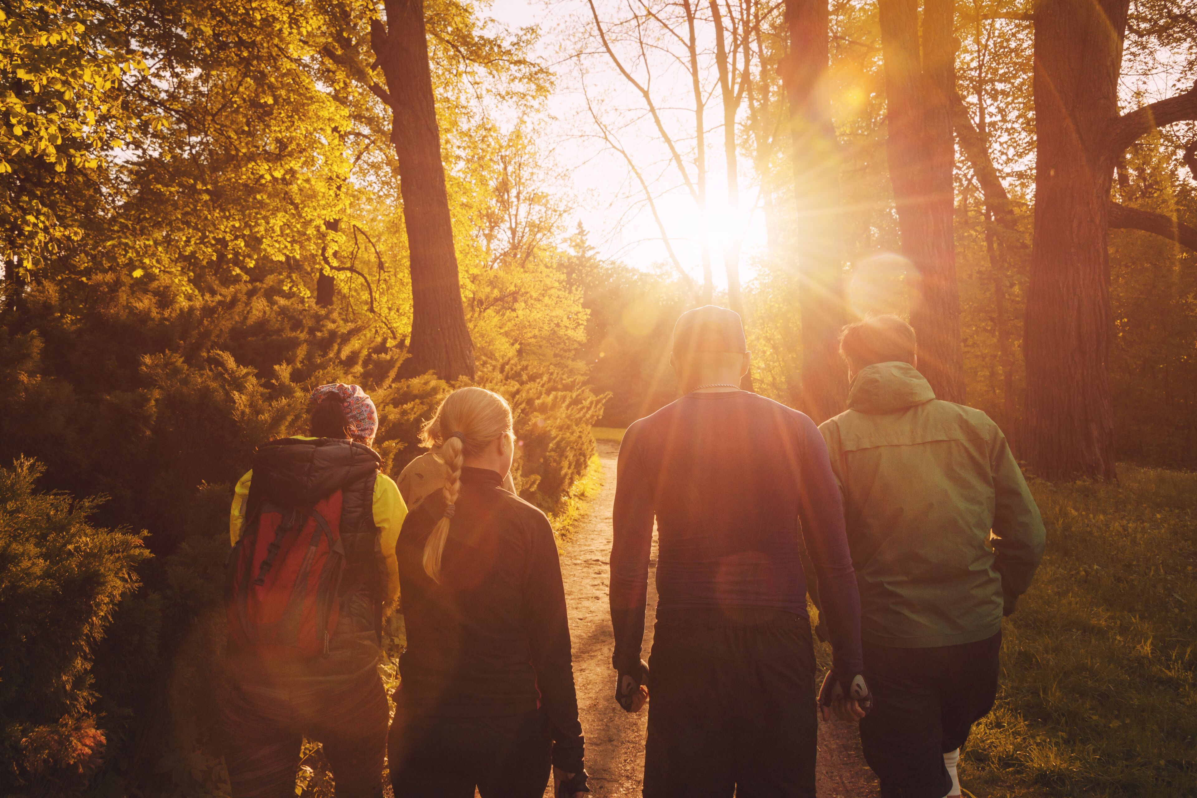 Un grupo de personas caminando por un sendero en un área boscosa, con la luz del sol filtrándose entre los árboles.