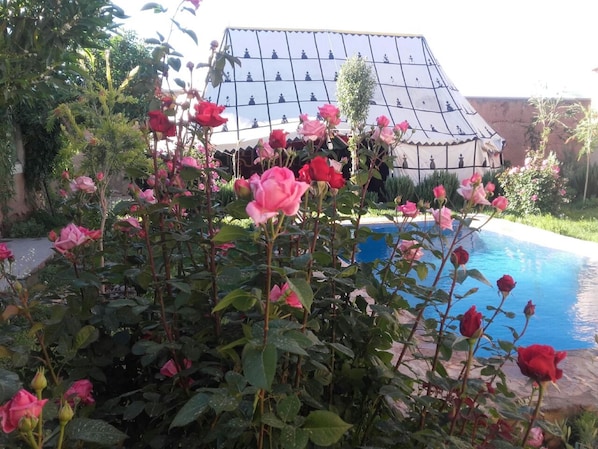 Inomhuspool och utomhuspool