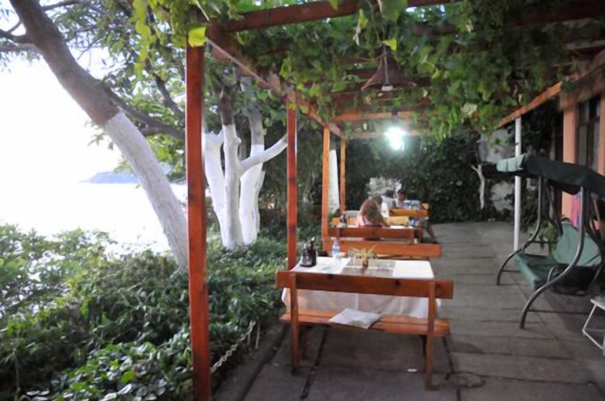 Un área de comedor al aire libre con bancos y mesas de madera, rodeada de vegetación y vistas al mar.
