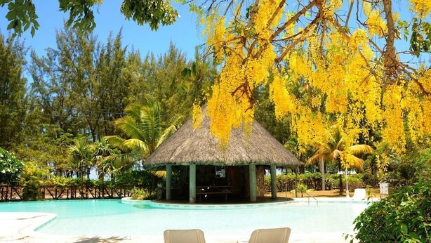 A pool area with lounge chairs, a thatched-roof structure, and lush greenery.