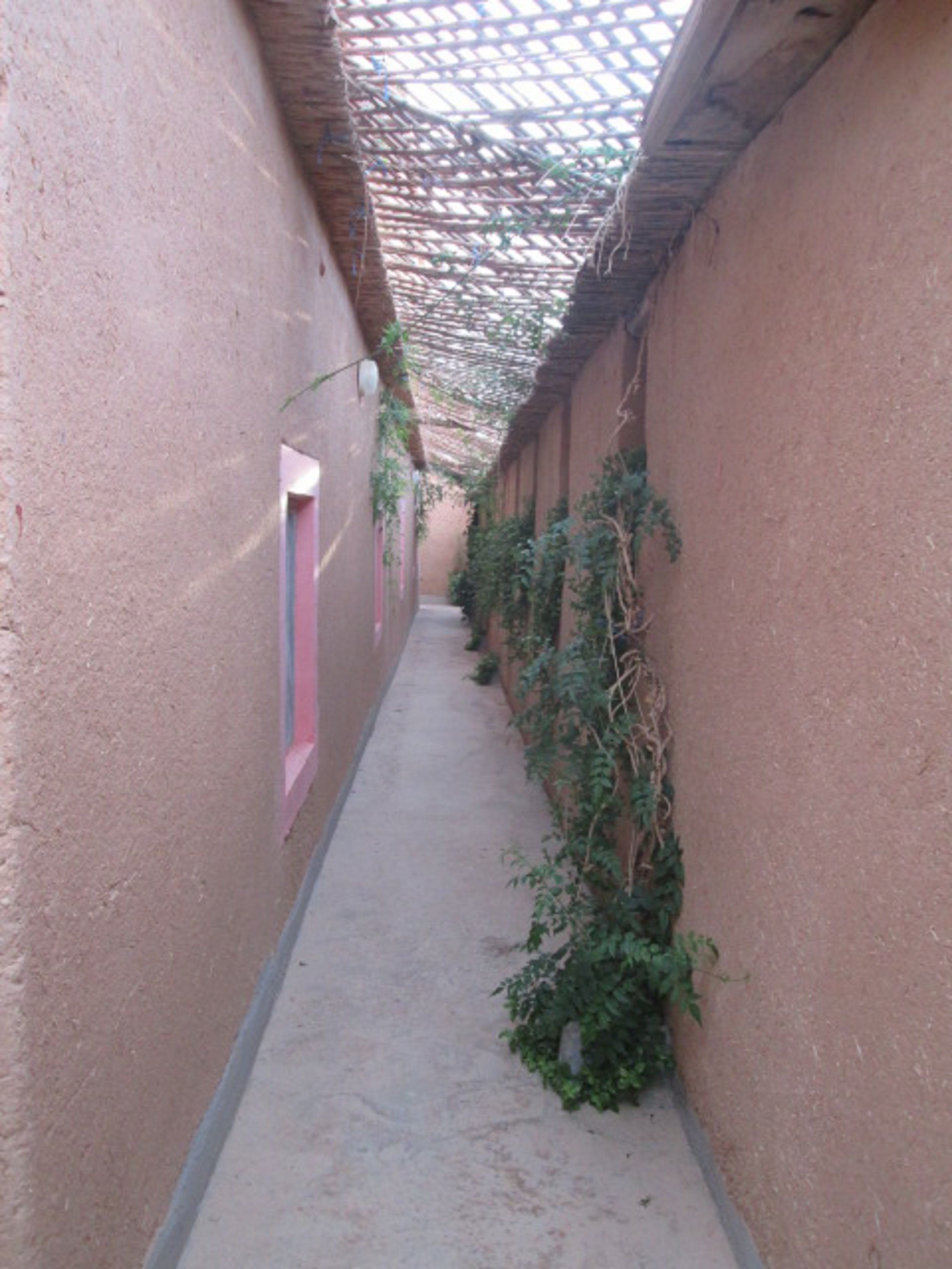 A narrow corridor with textured walls and a ceiling covered by a woven structure.