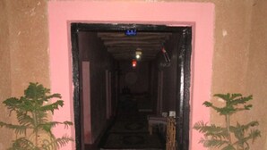 Een hal met een roze muur, een kamerbreed tapijt met een patroon en potplanten aan beide kanten.
