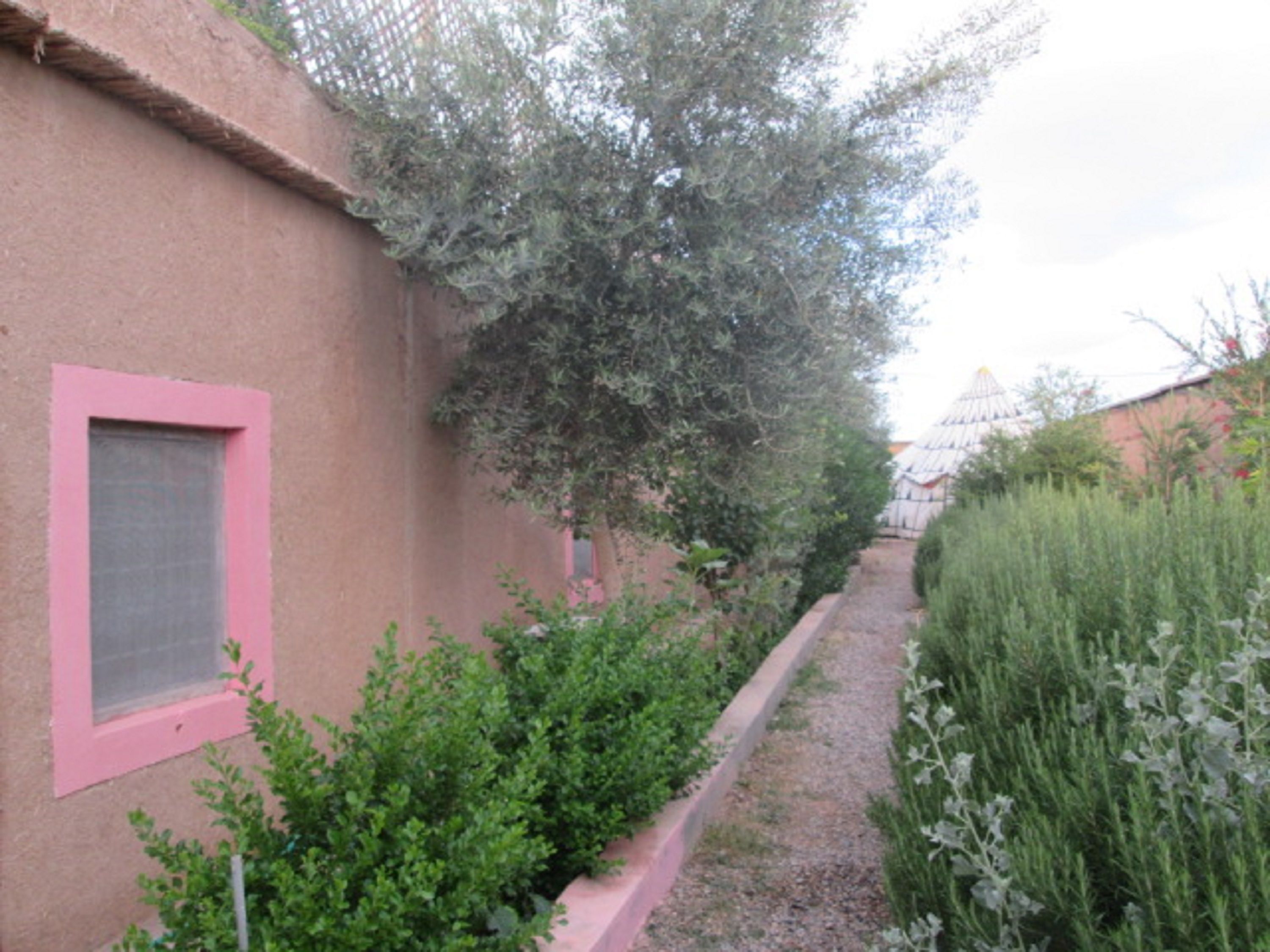 Un sentiero stretto delimitato da un edificio con una finestra rosa e un siepe.