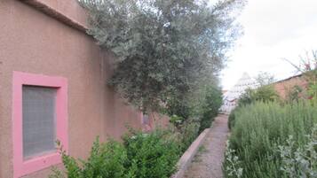 A narrow pathway flanked by a building with a pink window and a hedge.