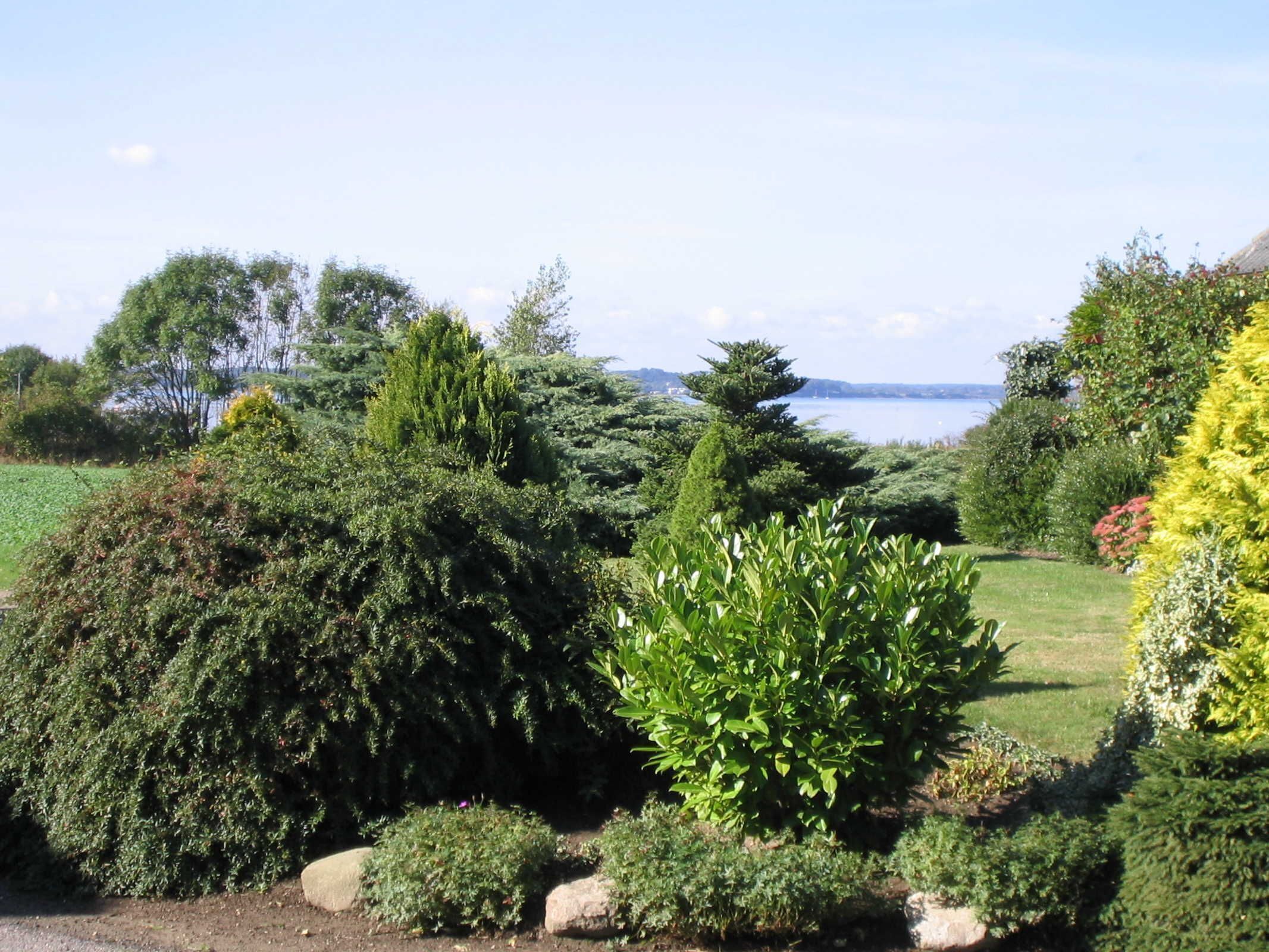 Ein Garten mit verschiedenen Sträuchern und Bäumen, ein klarer Himmel und eine entfernte Wasserlandschaft.