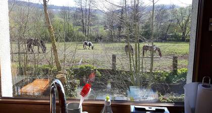 Vacation apartment 1 - Apartments am Nonnenbach