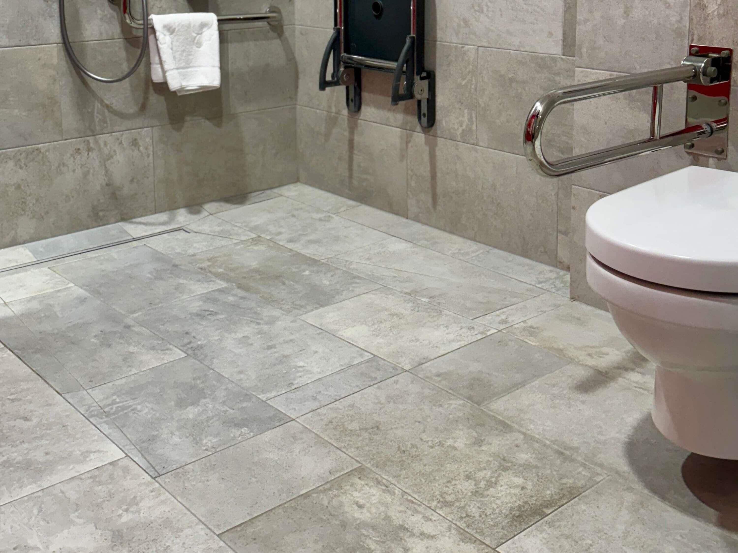 A bathroom with a toilet, a handrail, and a towel rack.