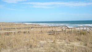 A beach with wooden walkways and dry grass. - Fabulous views  - right across the street from the beach! (Carolina Beach)