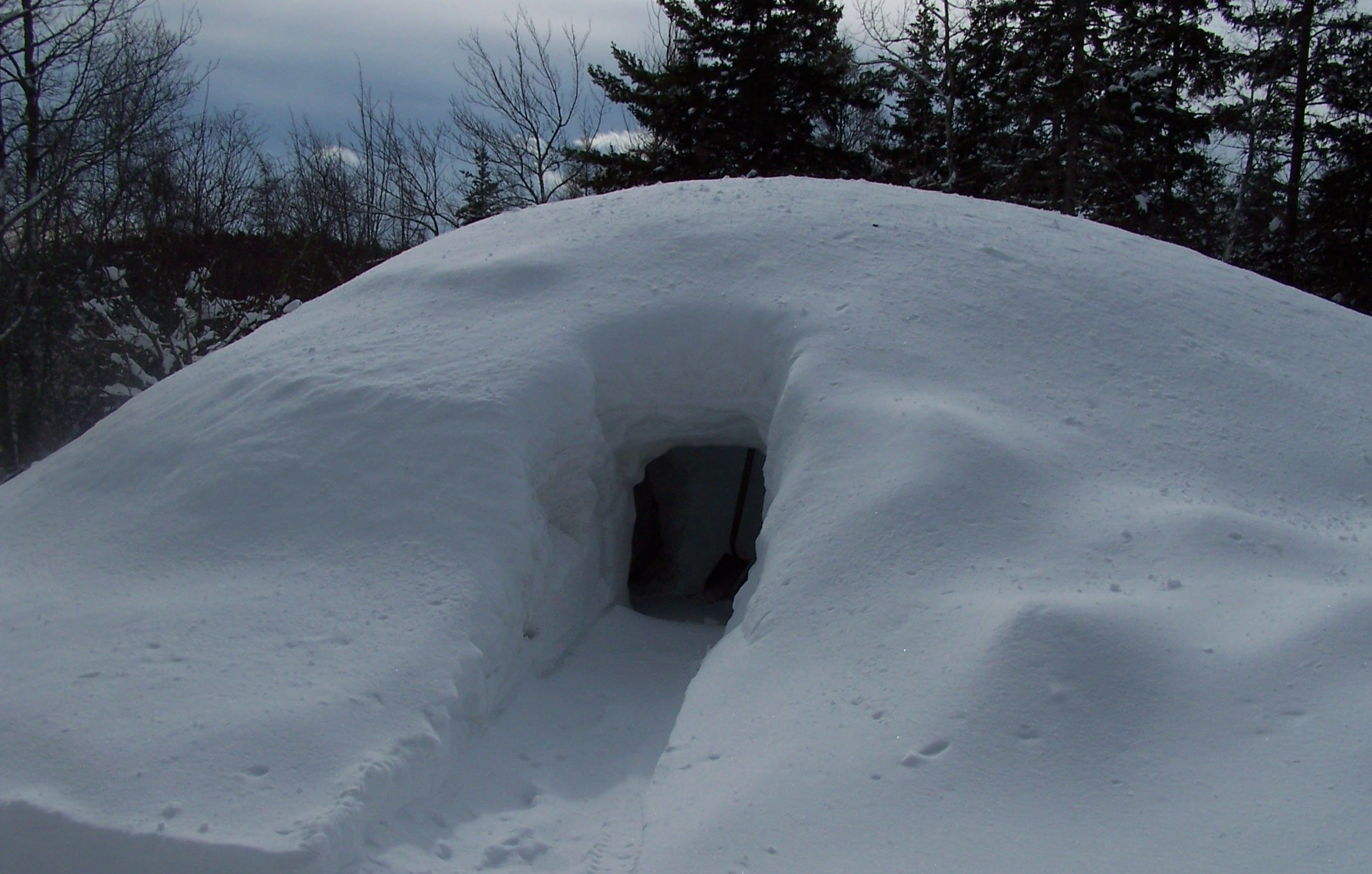 A snow-covered mound with a hollow center, surrounded by trees.