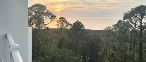 Un balcón con vistas a un bosque frondoso y una puesta de sol al fondo.