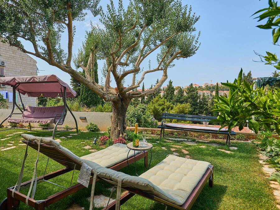 Comfort 1 bedroom apartment | Terrasse/patio