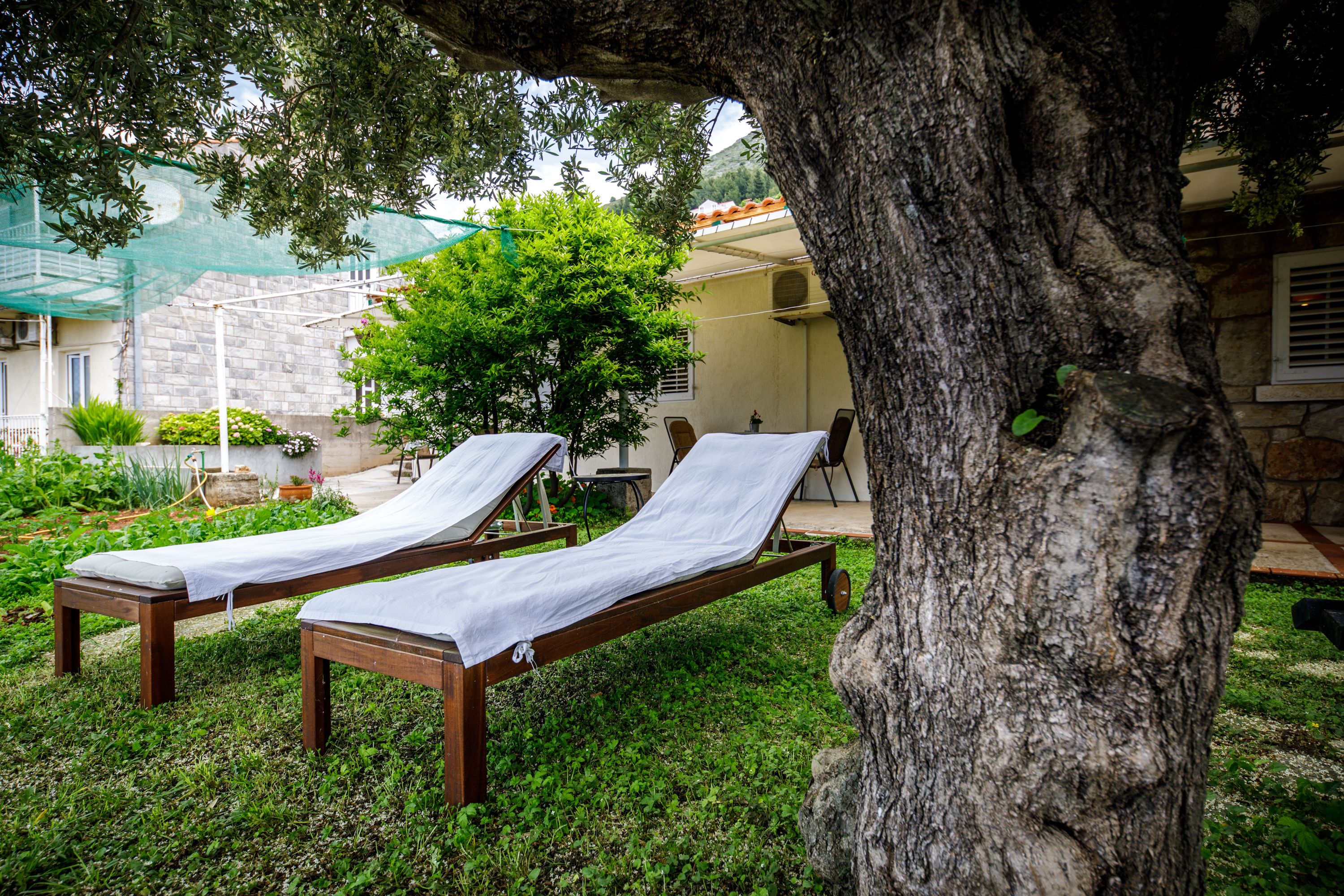 Foto - Guest House Anica