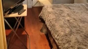 Departamento, 1 habitación | 1 habitación, cunas gratuitas, camas extra gratis y wifi gratis