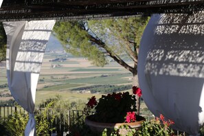 Vista desde la propiedad
