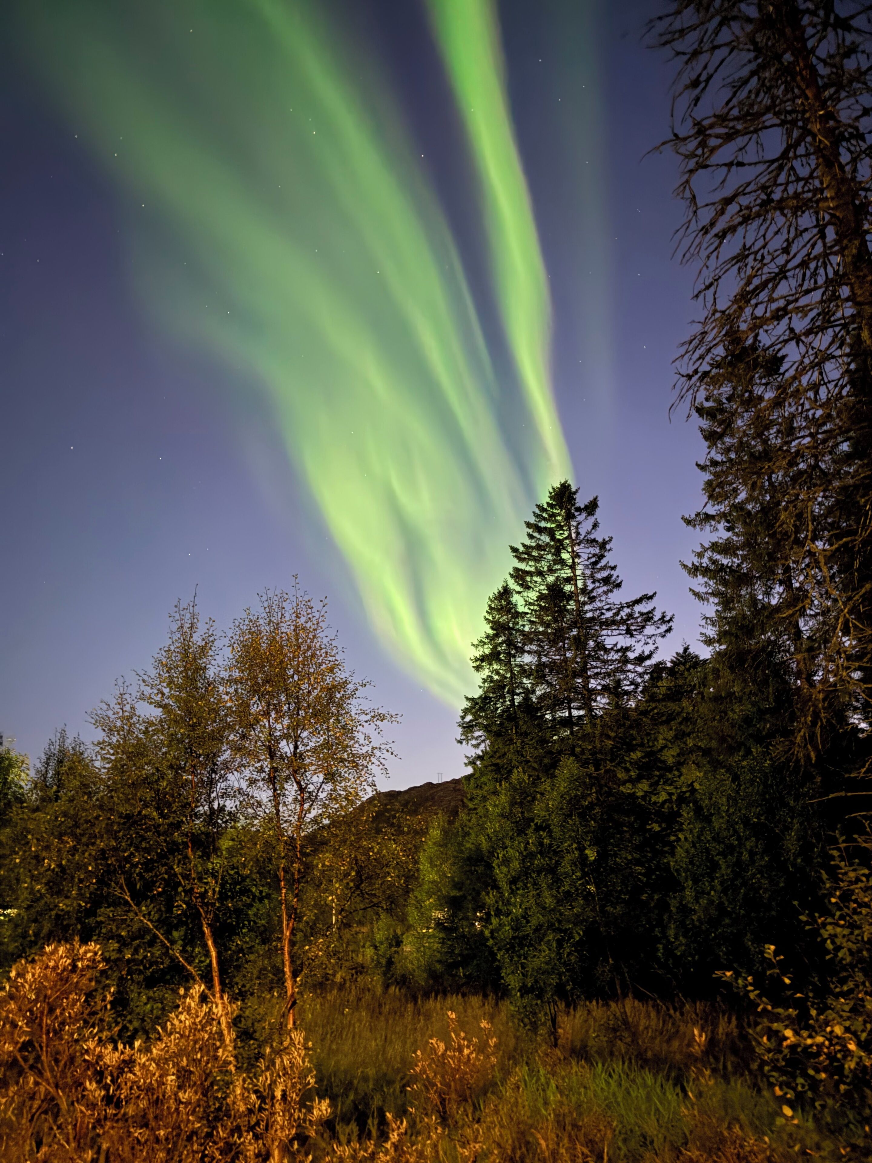 Cielo nocturno con la aurora boreal.