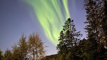 Cielo nocturno con la aurora boreal.