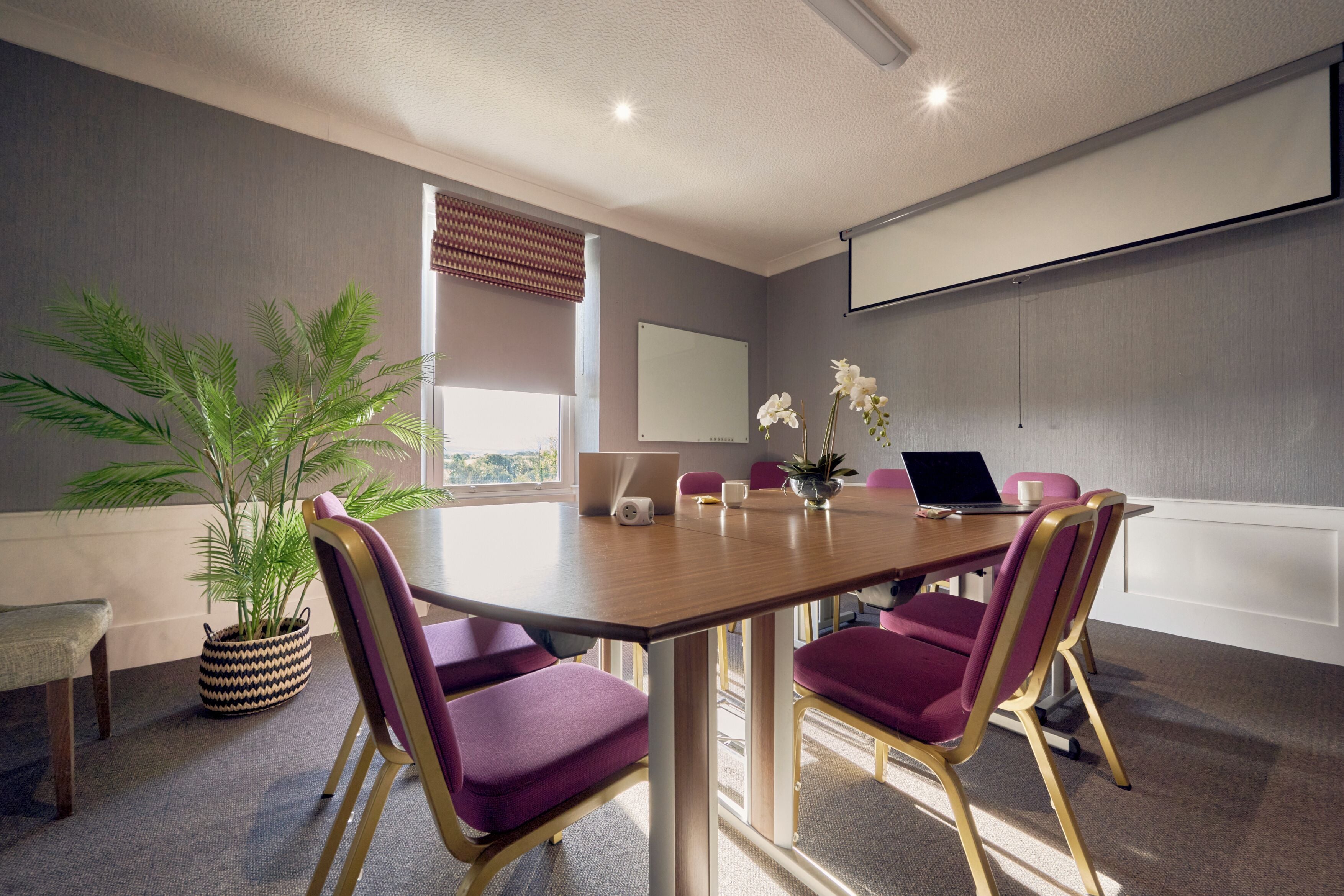 Een vergaderruimte met een houten tafel, paarse stoelen, een potplant en een projectiescherm.