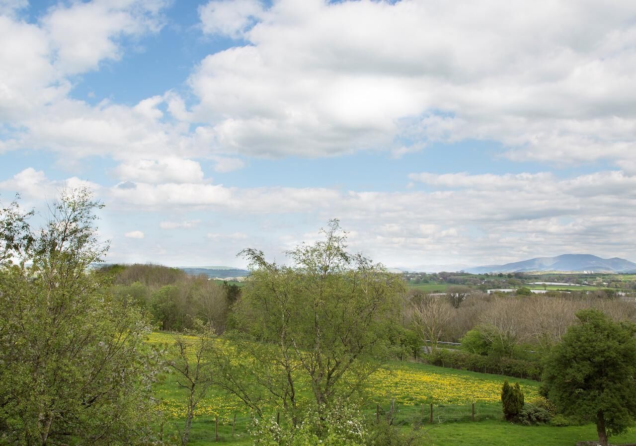 superior double room, 1 king bed, mountain view | mountain view