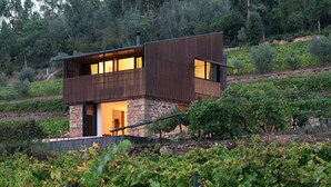 A modern two-story house with a stone foundation and wooden exterior, surrounded by a vineyard. - Quinta de Recião (Lamego)