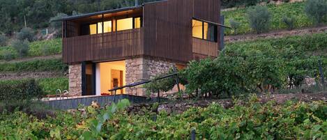 Mökki, 3 makuuhuonetta | Terassi/patio