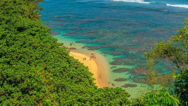 Une plage bordée d’une eau turquoise et limpide, entourée d’une végétation luxuriante.