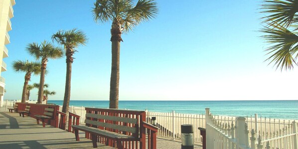 A seaside promenade with benches and palm trees. - 1604 - Sunsets Every Night and Great Views! (Panama City Beach)