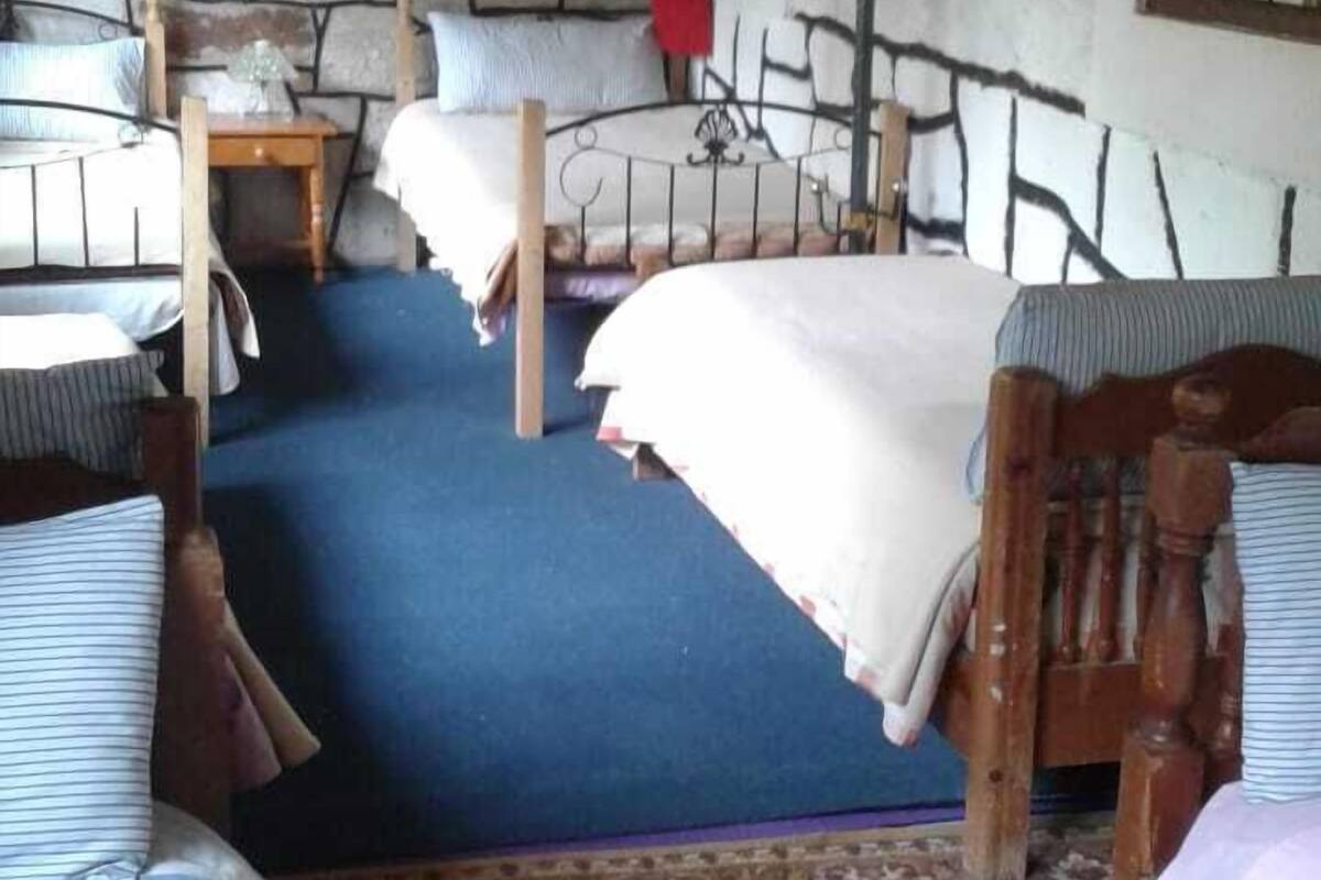 Shared Dormitory | Desk, WiFi (free), individually decorated, individually furnished
