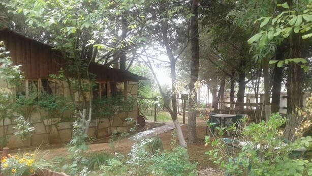 Jardin