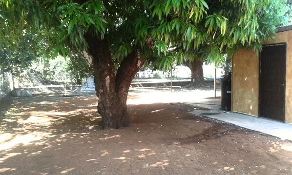 Jardin
