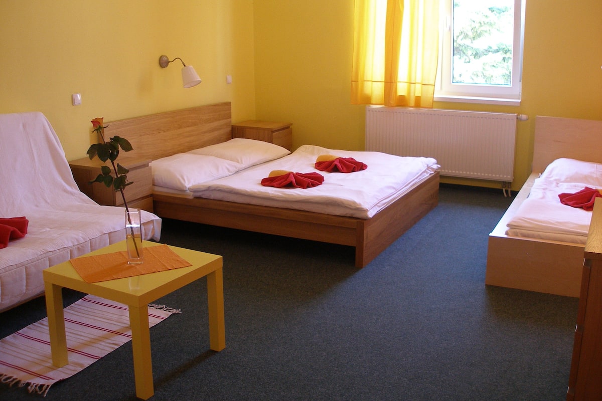 Standard Studio, Kitchenette | 1 bedroom, blackout drapes, soundproofing, WiFi (free)