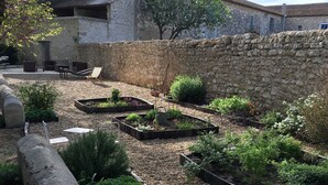 A courtyard with stone walls, outdoor seating, and raised garden beds. - Gîtes Pech-céleyran (Salles-d'Aude)