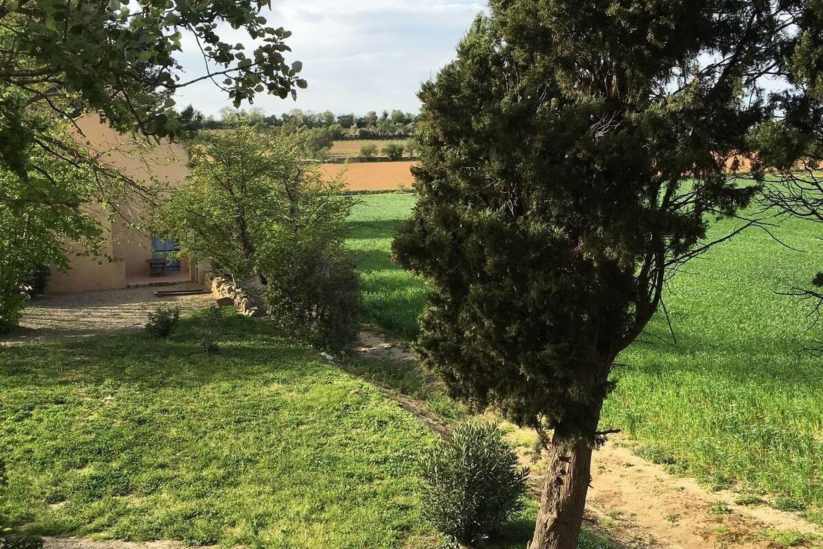 Un paysage rural avec un chemin de terre, des champs verdoyants et un bâtiment doté d’un toit en pente.
