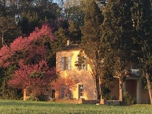 A small, rustic house with a stone facade, surrounded by a well-maintained lawn and trees with autumn foliage. - Gîtes Pech-céleyran (Salles-d'Aude)
