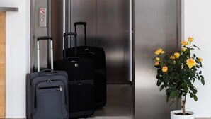 An elevator with luggage and a potted plant. - Hotel Gasthof Rosenwirt (Au in der Hallertau)