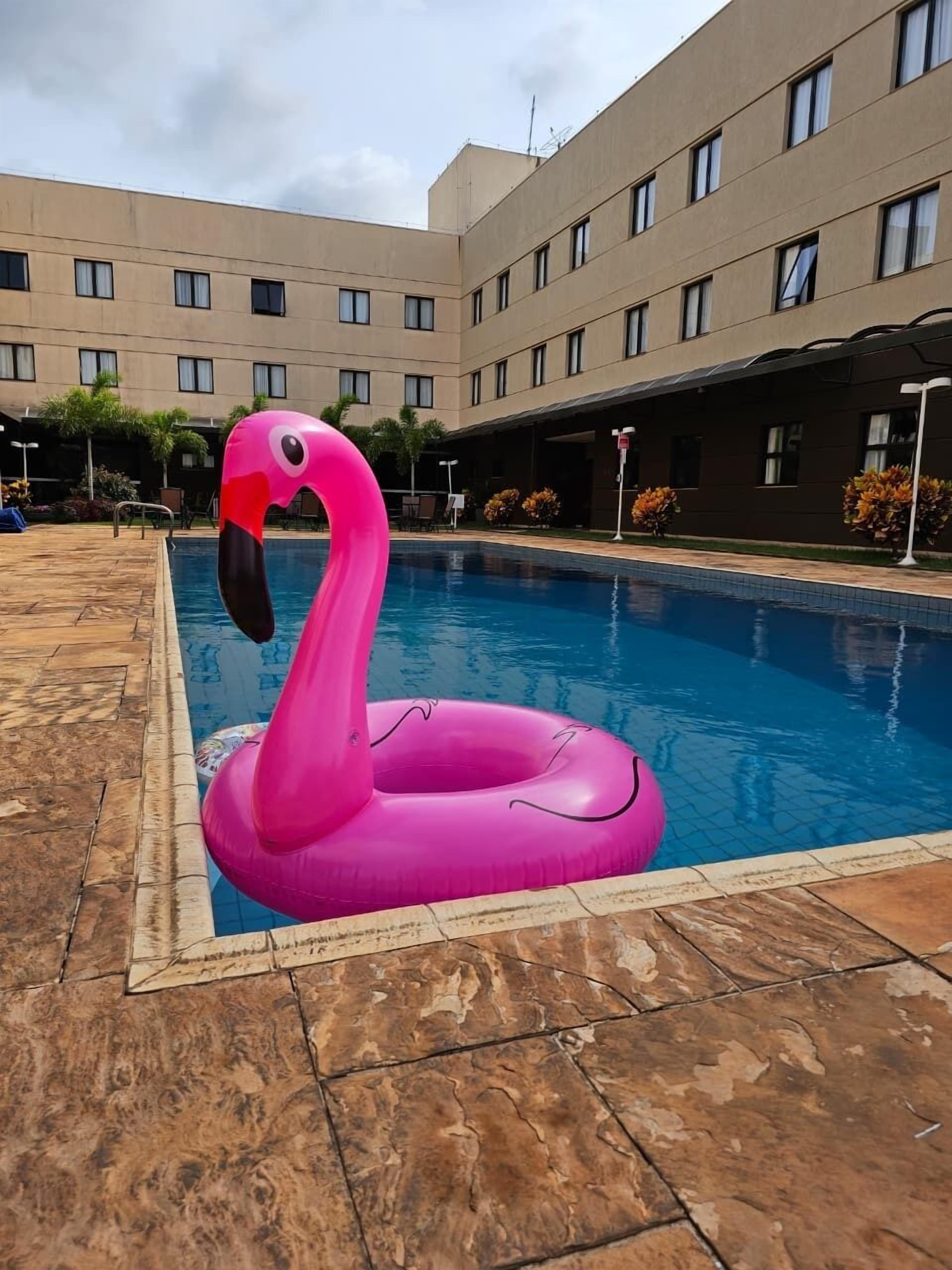 屋外プール、サンラウンジャー