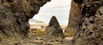 Tranquil Arch Cape Escape - Walk to the Beach!