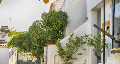 Vitória House