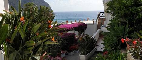 A narrow pathway leading to a balcony with potted plants and a view of the sea.