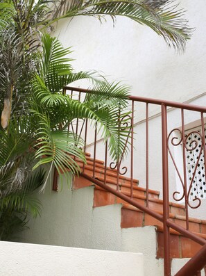 Detalle del exterior