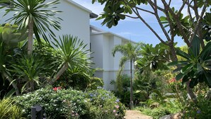 Un jardin luxuriant, avec une variété de plantes et de fleurs, un bâtiment blanc et de gros rochers.