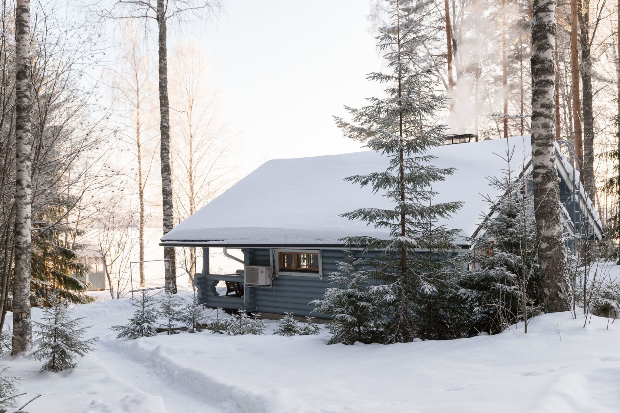A cabin surrounded by snow-covered trees, with a clear view of the surrounding forest.