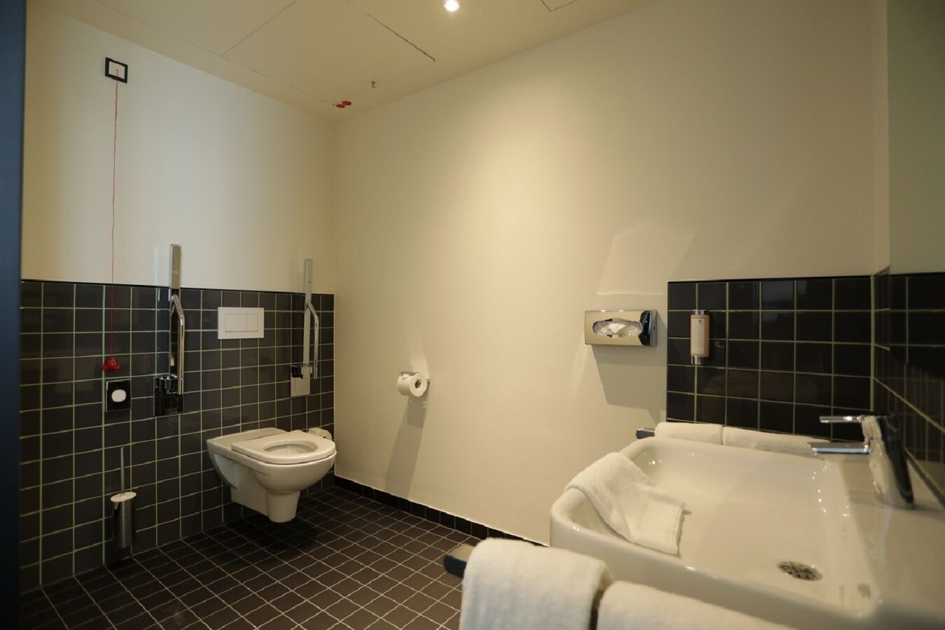 double room - disability access | bathroom | shower, free toiletries, hair dryer, towels