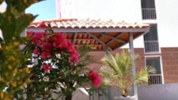 Detalle del exterior