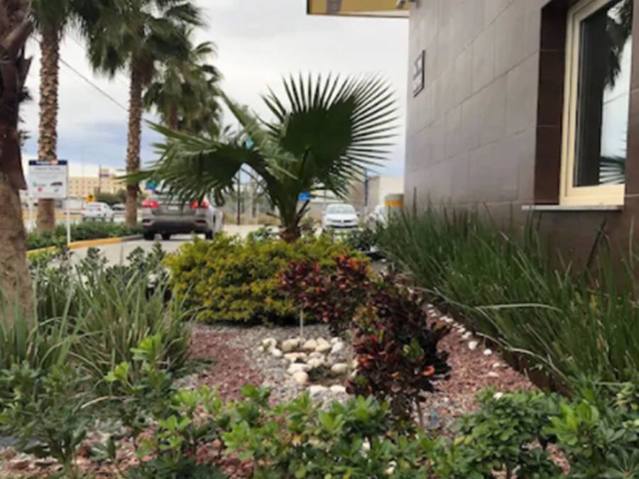 Jardín