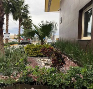 Garden - Hotel Hi! Torreon (Torreón)