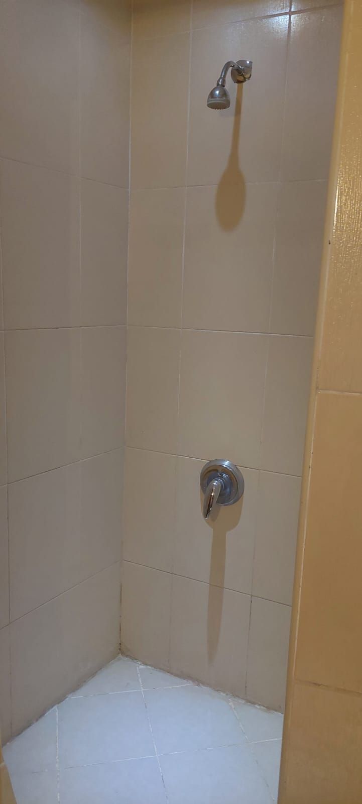 A small, enclosed shower area with tiled walls and floor, a showerhead, and a faucet.