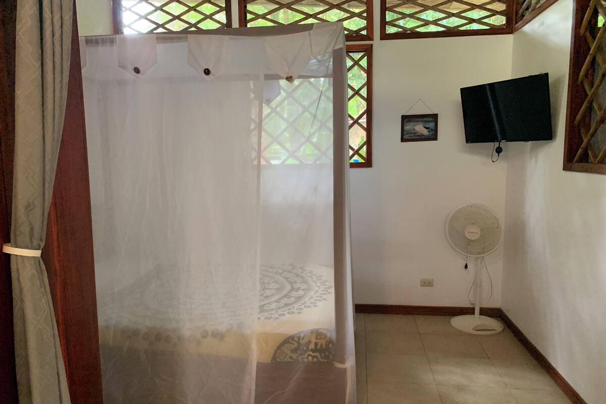 A room with a bed, a TV, a fan, and a window with a lattice design.