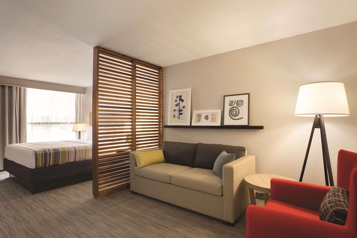 Cubrecamas, escritorio y cortinas blackout